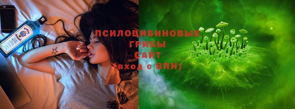 хмурый Покачи