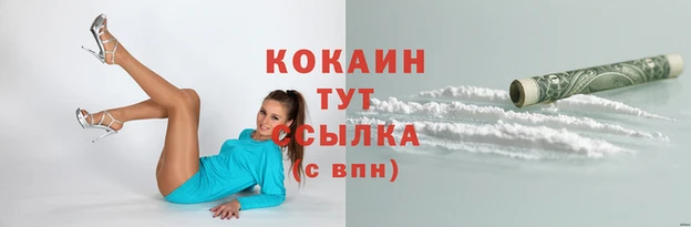 хмурый Покачи