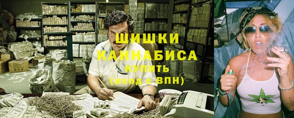 хмурый Покачи