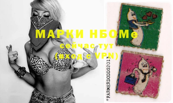 хмурый Покачи