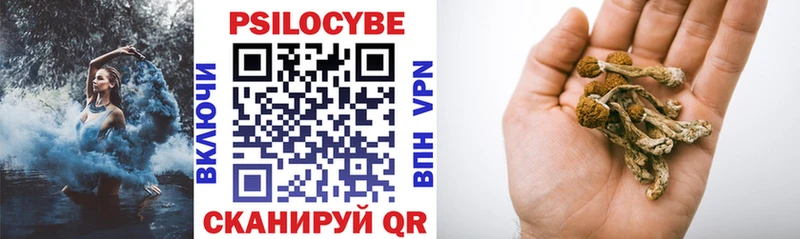 Галлюциногенные грибы Psilocybe Купить где Новое Девяткино